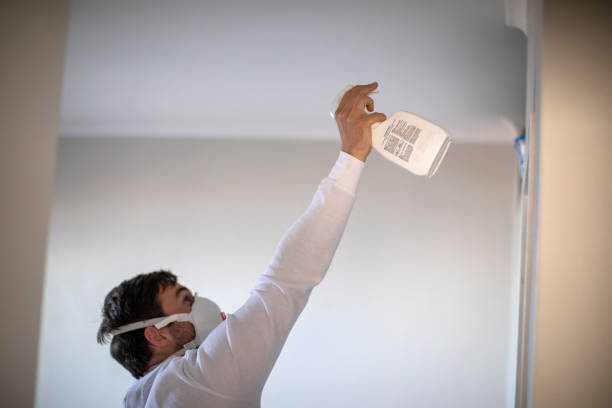 Home Mold Removal in South Beach, FL